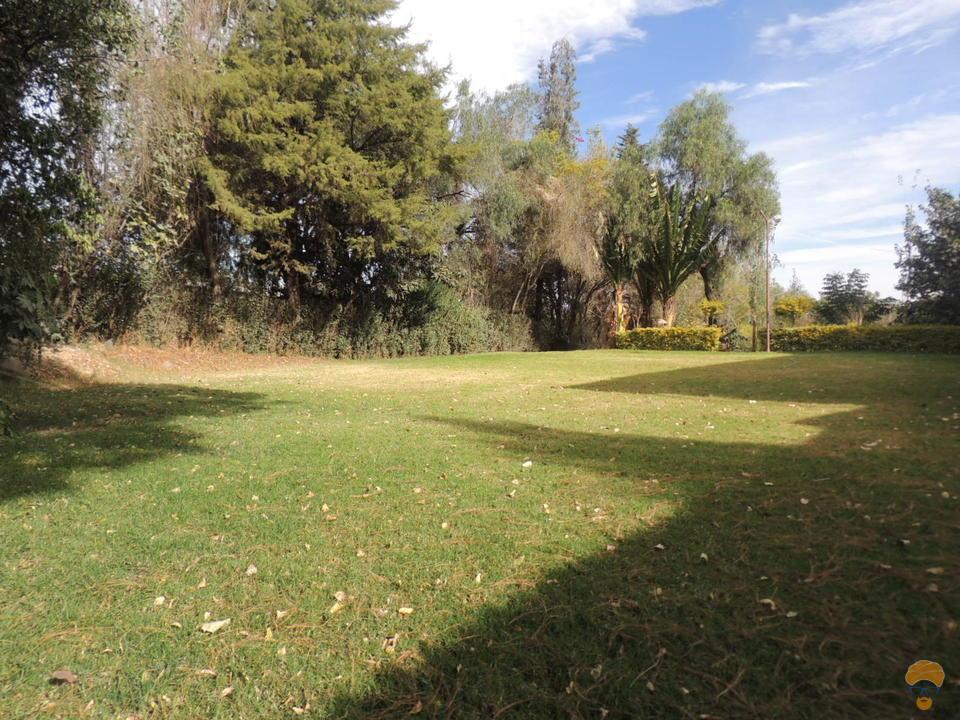 10-thumbnail-vendo-hermosa-propiedad-sobre-3500-chilimarca