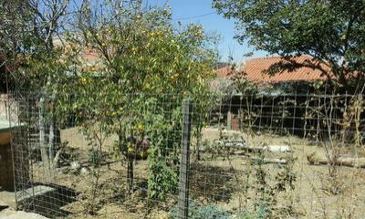 vendo-casa-como-lote-sobre-chilimarca