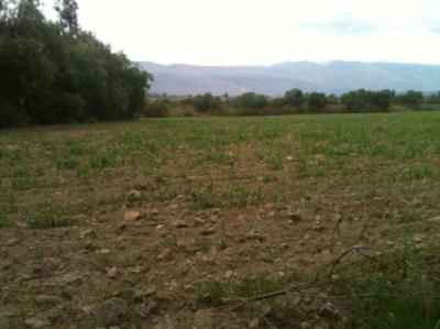 en-venta-amplio-lote-inmediaciones-tiquipaya
