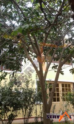 casa-independiente-de-dos-plantas-a-sacaba