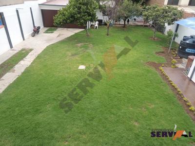 alquilo-local-sobre-avenida-ideal-av-potosi-c-beni