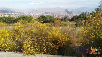 lote-en-venta-sobre-885m2-taquina