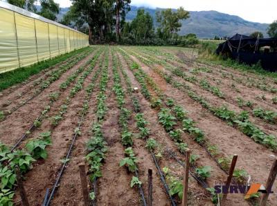 lote-sobre-18803-m2-en-pampa-grande