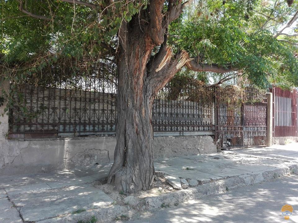 1-thumbnail-venta-de-casa-como-lote-beijing