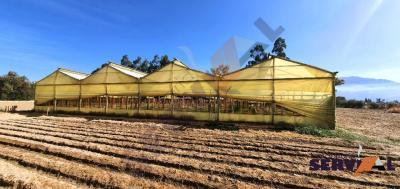 lote-sobre-18803-m2-en-pampa-grande
